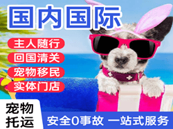 永兴机场物流国际宠物托运 【国